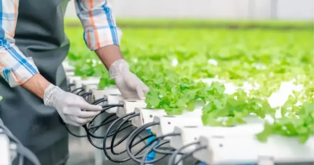 vertical farming in india
