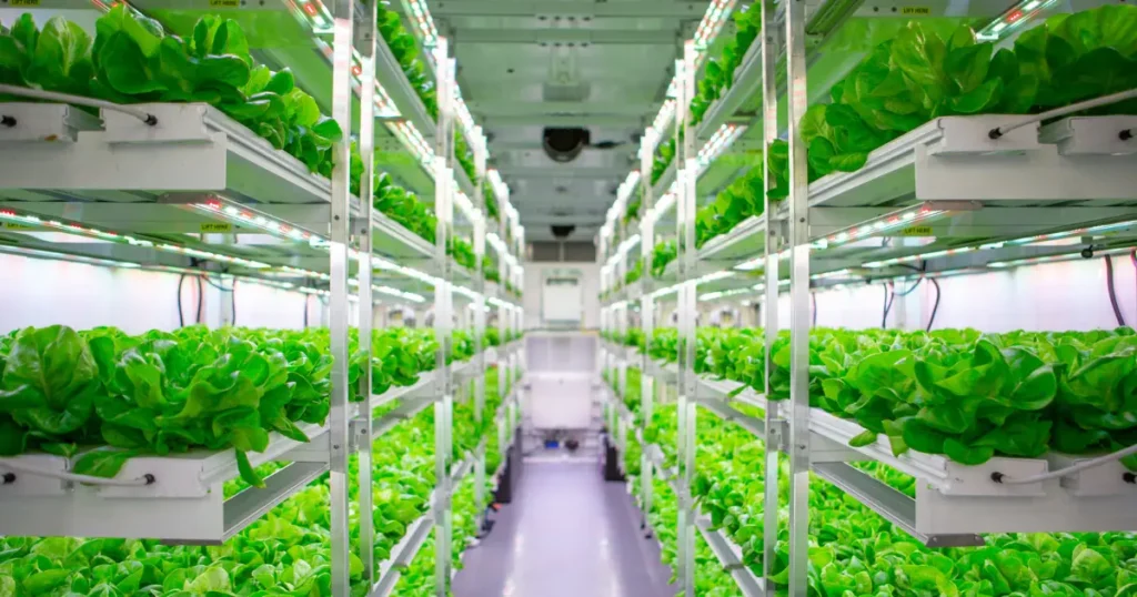 Vertical Farming: The Ultimate Key to Hydroponic Agriculture